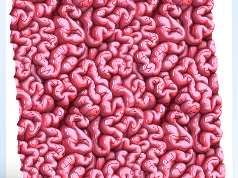 Anatomy Seamless Texture CG Textures