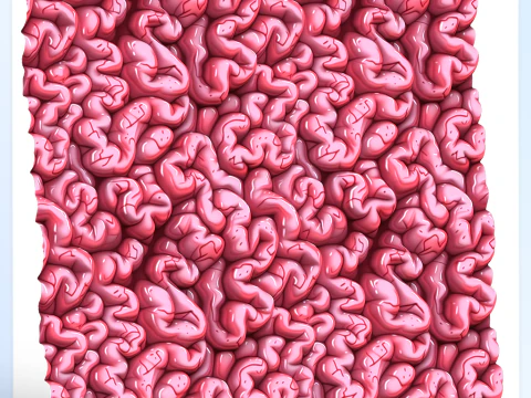 Anatomy Seamless Texture CG Textures