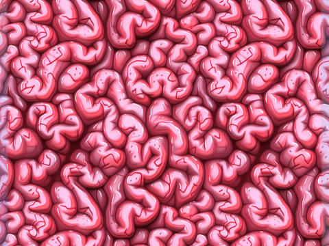 Anatomy Seamless Texture CG Textures