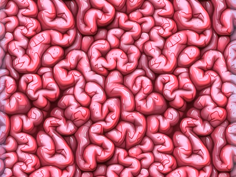 Anatomy Seamless Texture CG Textures
