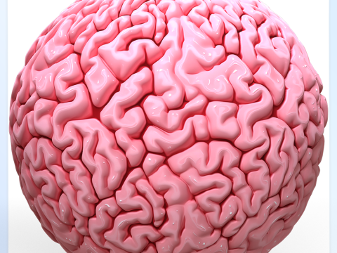 Anatomy Seamless Texture CG टेक्स्चर्स