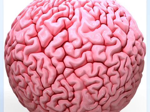 Anatomie nahtlose Textur CG Texturen