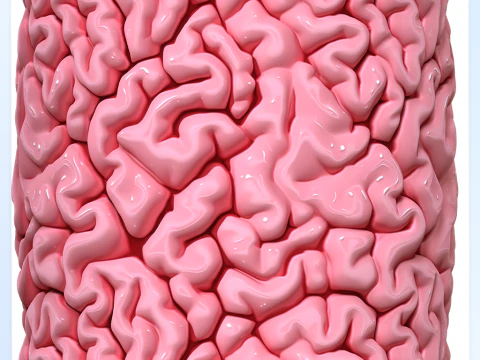 Anatomie nahtlose Textur CG Texturen