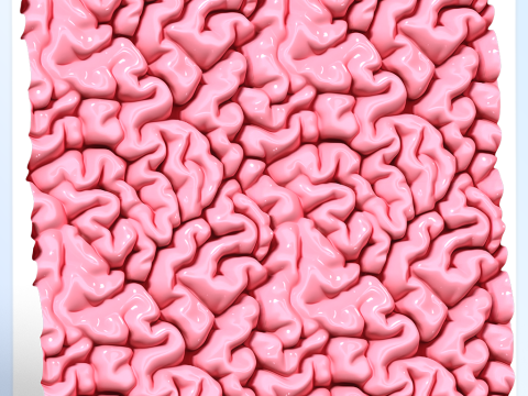 Anatomy Seamless Texture CG टेक्स्चर्स