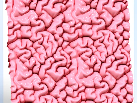 Anatomie nahtlose Textur CG Texturen