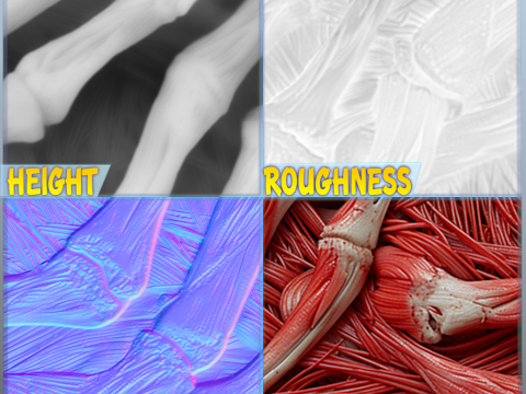 Anatomy Seamless Texture Texturas CG