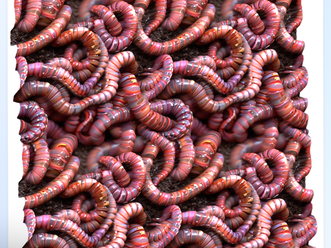 Worm Seamless Texture CG Tekstury