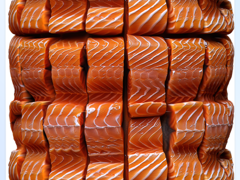 Food Seamless Texture CG Textures