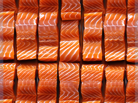Food Seamless Texture CG Textures