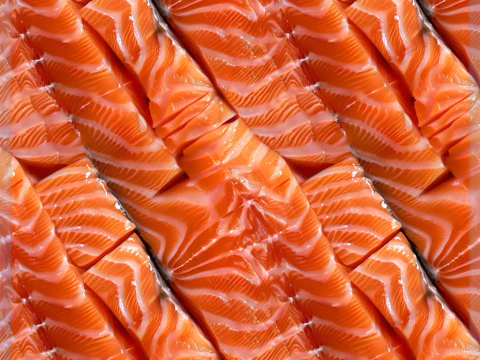 Food Seamless Texture CG Textures