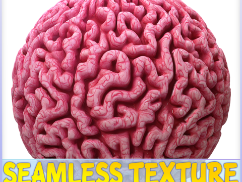 Brain Seamless Texture CG 텍스쳐