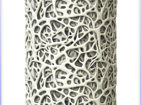 Bone Seamless Texture CG टेक्स्चर्स