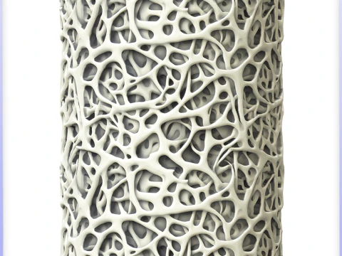 Struttura senza giunte dell'osso CG Textures