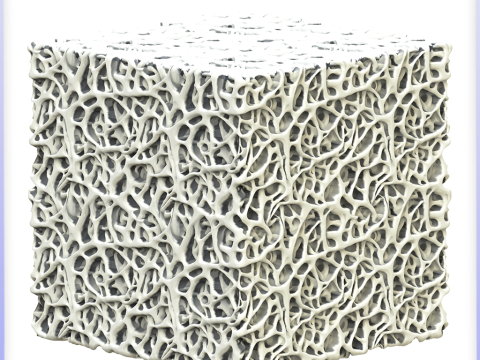 Bone Seamless Texture CG टेक्स्चर्स
