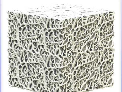 Struttura senza giunte dell'osso CG Textures