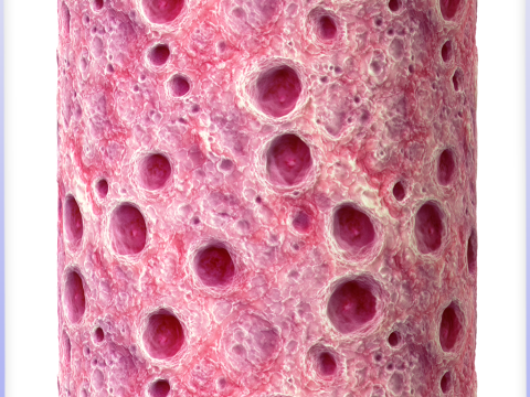 Organic Seamless Texture CG Textures
