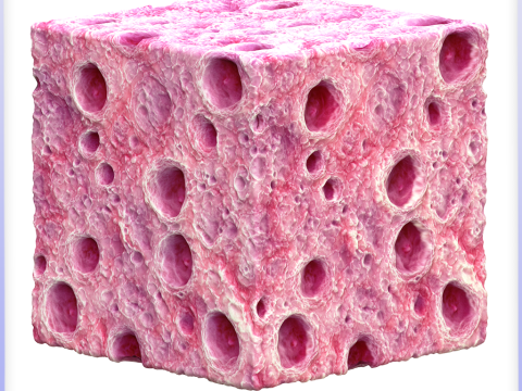 Organic Seamless Texture CG Textures