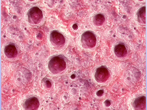 Organic Seamless Texture CG Textures