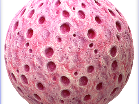 Organic Seamless Texture CG Textures