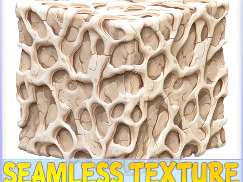 Struttura senza giunte dell'osso CG Textures