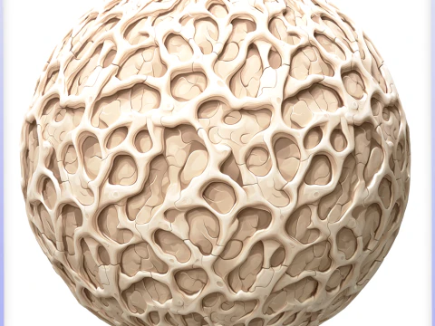 Kemik Sorunsuz Doku CG Dokuları