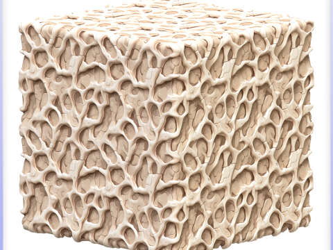 Bone Seamless Texture CG टेक्स्चर्स