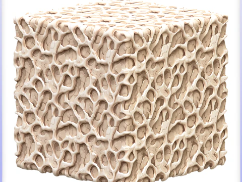 Kemik Sorunsuz Doku CG Dokuları