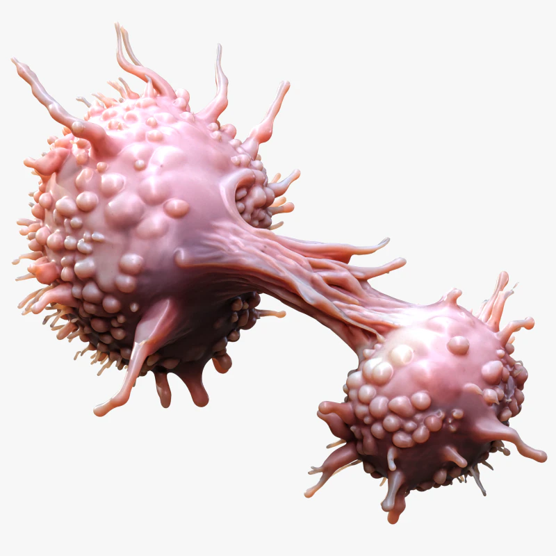 Cancer Cell Tumor 3D Model .c4d .max .obj .3ds .fbx .stl .blend 