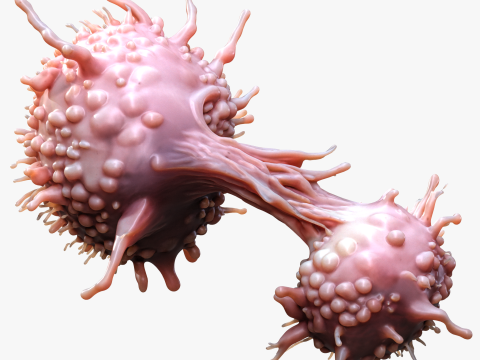 Cancer Cell Tumor Modello 3D