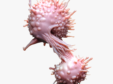 Cancer Cell Tumor 3D Model