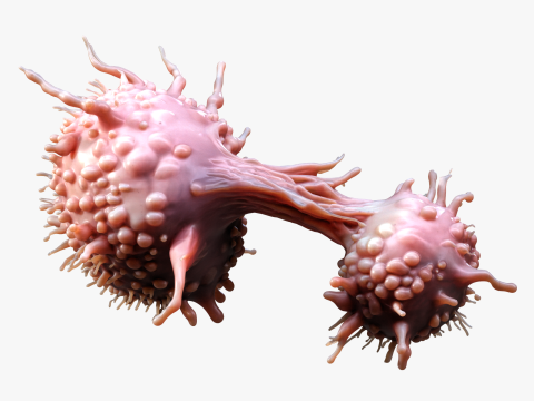 Cancer Cell Tumor 3D Model
