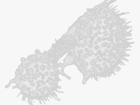 Cancer Cell Tumor 3D Model