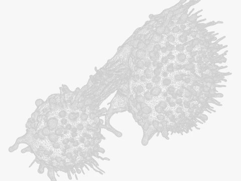 Cancer Cell Tumor 3D Model