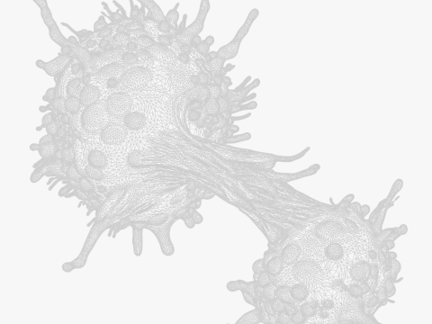 Cancer Cell Tumor 3D Model