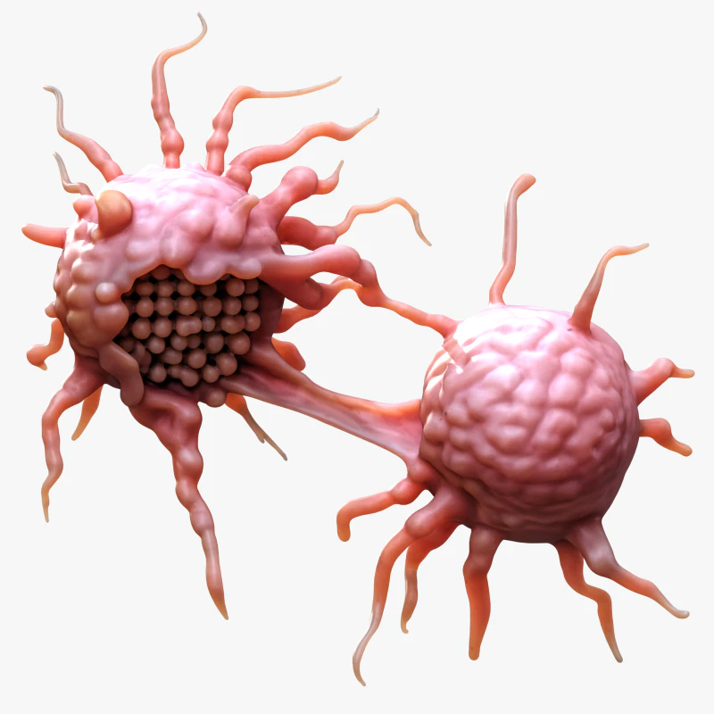 Cancer Cell Tumor 3D Model .c4d .max .obj .3ds .fbx .stl .blend 