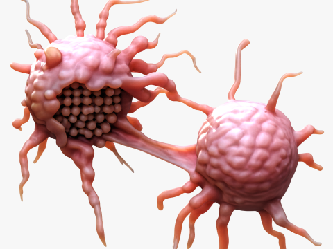 Cancer Cell Tumor Modelo 3D