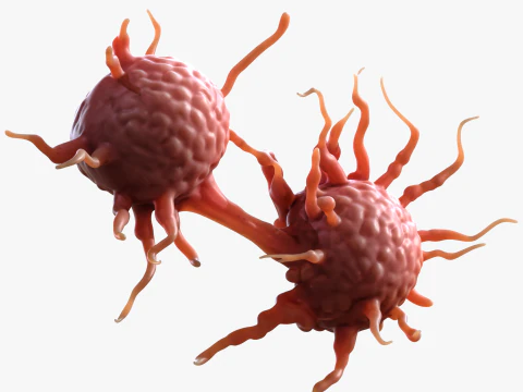 Cancer Cell Tumor 3D Model