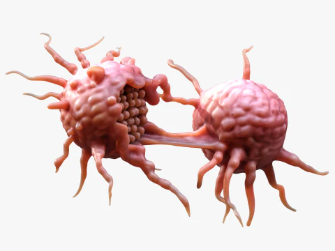 Cancer Cell Tumor 3D Model