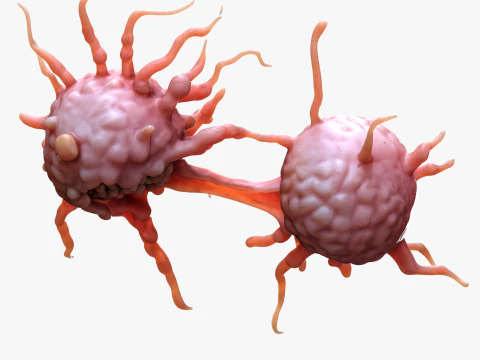 Cancer Cell Tumor 3D Model