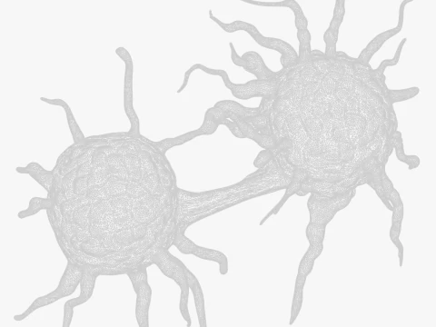 Cancer Cell Tumor 3D Model