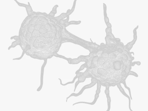 Cancer Cell Tumor 3D Model