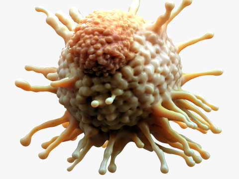 Cancer Cell Tumor Modelo 3D
