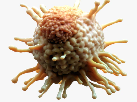 Tumor de c&eacute;lulas cancer&iacute;genas Modelo 3D