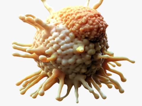 Cancer Cell Tumor Modello 3D