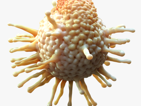 Cancer Cell Tumor Modello 3D