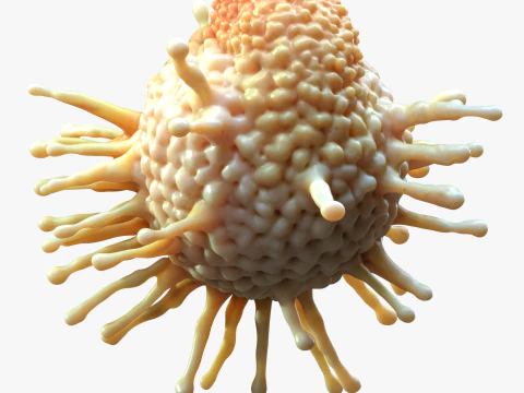 Cancer Cell Tumor 3D Model