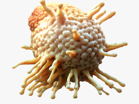Cancer Cell Tumor Modello 3D