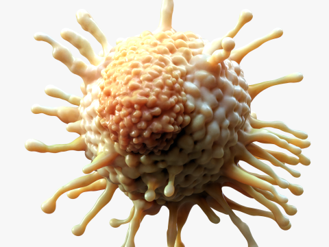 Cancer Cell Tumor Modello 3D