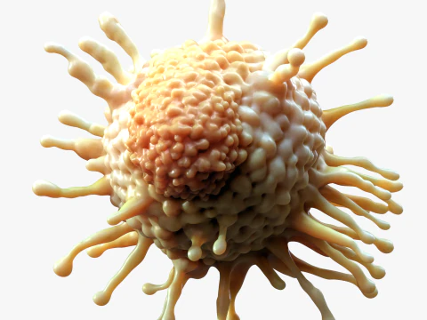 Cancer Cell Tumor 3D Model