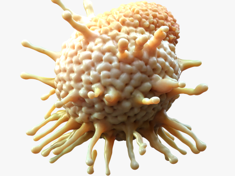 Cancer Cell Tumor Modello 3D